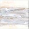 Neutral Texture by Chris Paschke 14" x 14" Canvas Wall Art (Set of 2)